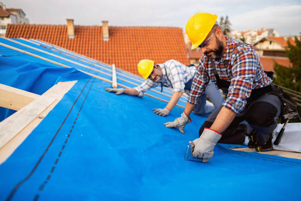 Best Rubber Roofing (EPDM, TPO)  in Piney Mountain, VA